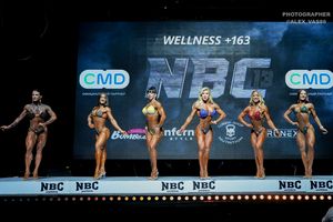 WELLNESS +163